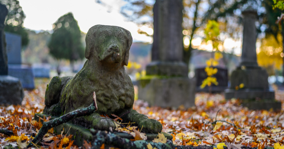 The Role of a Pet Cemetery in Grieving and Closure